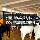 新疆消防救援总队“自然灾害应急能力提升工程”装备配备第三次采购项目（xx-2包）中标公告 来源：互联网 2025-11-06（图4）