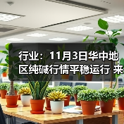 行业:11月3日华中地区纯碱行情平稳运行 来源:互联网 2025-11-06(图4) 行业:11月3日华中地区纯碱行情平稳运行 来源:互联网 2025-11-06(图4)