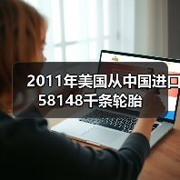 2011年美国从中国进口58148千条轮胎(图4) 2011年美国从中国进口58148千条轮胎(图4)