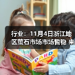 行业：11月4日浙江地区萤石市场市场暂稳 来源：互联网 2025-11-06（图4）