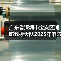广东省深圳市宝安区消防救援大队2025年消防宣教用品采购项目遴选公告 来源：互联网 2025-11-06（图2）