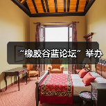 “橡胶谷蓝论坛”举办（图2）