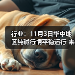 行业：11月3日华中地区纯碱行情平稳运行 来源：互联网 2025-11-06（图2）