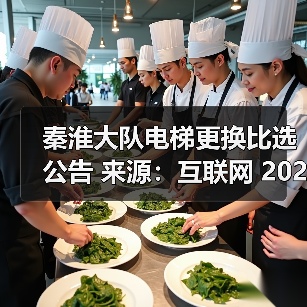 秦淮大队电梯更换比选公告 来源：互联网 2025-11-06（图4）