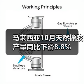 马来西亚10月天然橡胶产量同比下滑8.8%（图1）