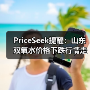 PriceSeek提醒：山东双氧水价格下跌行情走弱 来源：互联网 2025-11-06（图3）
