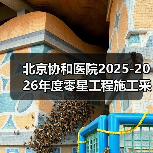 北京协和医院2025-2026年度零星工程施工采购项目比选公告 来源：互联网 2025-11-06（图2）