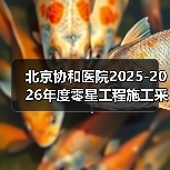北京协和医院2025-2026年度零星工程施工采购项目比选公告 来源：互联网 2025-11-06（图3）