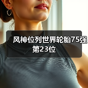 风神位列世界轮胎75强第23位(图3) 风神位列世界轮胎75强第23位(图3)