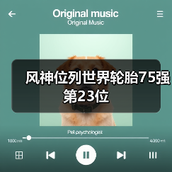 风神位列世界轮胎75强第23位(图4) 风神位列世界轮胎75强第23位(图4)