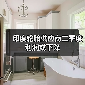 印度轮胎供应商二季度利润或下降(图3) 印度轮胎供应商二季度利润或下降(图3)