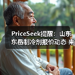 PriceSeek提醒：山东东岳制冷剂报价动态 来源：互联网 2025-11-06（图1）