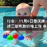 行业:11月6日重庆建峰三聚氰胺价格上涨 来源:互联网 2025-11-06(图4) 行业:11月6日重庆建峰三聚氰胺价格上涨 来源:互联网 2025-11-06(图4)