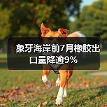 象牙海岸前7月橡胶出口量降逾9%（图2）