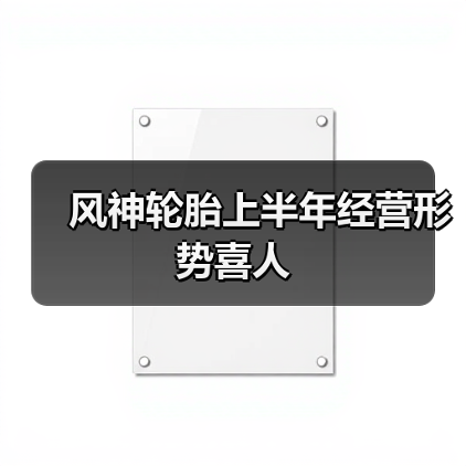风神轮胎上半年经营形势喜人(图2) 风神轮胎上半年经营形势喜人(图2)