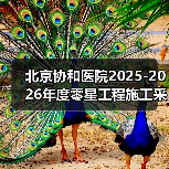 北京协和医院2025-2026年度零星工程施工采购项目比选公告 来源：互联网 2025-11-06（图1）