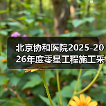 北京协和医院2025-2026年度零星工程施工采购项目比选公告 来源：互联网 2025-11-06（图3）