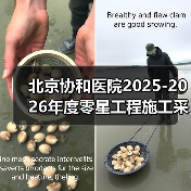 北京协和医院2025-2026年度零星工程施工采购项目比选公告 来源：互联网 2025-11-06（图4）