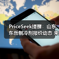 PriceSeek提醒：山东东岳制冷剂报价动态 来源：互联网 2025-11-06（图1）