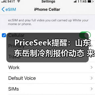 PriceSeek提醒：山东东岳制冷剂报价动态 来源：互联网 2025-11-06（图2）