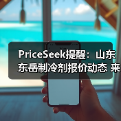 PriceSeek提醒：山东东岳制冷剂报价动态 来源：互联网 2025-11-06（图4）