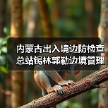 内蒙古出入境边防检查总站锡林郭勒边境管理支队应急物资保障库建设项目成交公告 来源：互联网 2025-11-06（图2）
