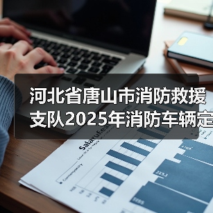 河北省唐山市消防救援支队2025年消防车辆定点维修服务项目竞争性磋商 来源：互联网 2025-11-06（图2）