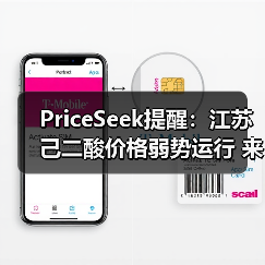 PriceSeek提醒：江苏己二酸价格弱势运行 来源：互联网 2025-11-06（图2）