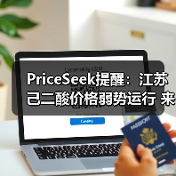PriceSeek提醒：江苏己二酸价格弱势运行 来源：互联网 2025-11-06（图3）