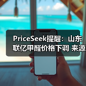 PriceSeek提醒：山东联亿甲醛价格下调 来源：互联网 2025-11-06（图3）