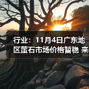 行业：11月4日广东地区萤石市场价格暂稳 来源：互联网 2025-11-06（图4）