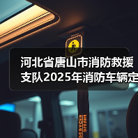 河北省唐山市消防救援支队2025年消防车辆定点维修服务项目竞争性磋商 来源：互联网 2025-11-06（图2）