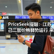PriceSeek提醒：江苏己二酸价格弱势运行 来源：互联网 2025-11-06（图3）