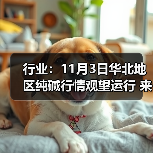 行业：11月3日华北地区纯碱行情观望运行 来源：互联网 2025-11-06（图3）