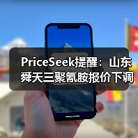 PriceSeek提醒：山东舜天三聚氰胺报价下调30元 来源：互联网 2025-11-06（图4）