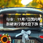 行业：11月7日国内甲醇期货行情收盘下跌 来源：互联网 2025-11-07（图3）