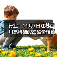 行业：11月7日江苏百川高科醋酸乙酯价格暂稳 来源：互联网 2025-11-07（图2）