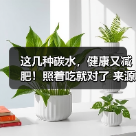 这几种碳水,健康又减肥!照着吃就对了 来源:互联网 2025-08-14(图4) 这几种碳水,健康又减肥!照着吃就对了 来源:互联网 2025-08-14(图4)