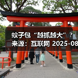 蚊子包“越抓越大”？ 来源：互联网 2025-08-14（图4）