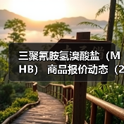 三聚氰胺氢溴酸盐（MHB） 商品报价动态（2026-01-12） 来源：互联网 2026-01-17（图2）