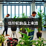 低价轮胎走上末路