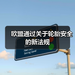 欧盟通过关于轮胎安全的新法规（图3）