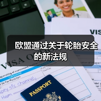 欧盟通过关于轮胎安全的新法规（图4）