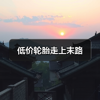 低价轮胎走上末路（图4）