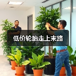 低价轮胎走上末路（图2）