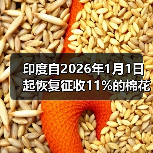 印度自2026年1月1日起恢复征收11%的棉花进口税 来源：互联网 2026-01-05（图2）