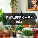 贵轮成信息化应用示范企业（图3）