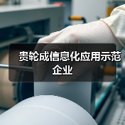 贵轮成信息化应用示范企业（图4）