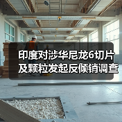 印度对涉华尼龙6切片及颗粒发起反倾销调查 来源：互联网 2026-01-04（图4）