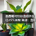 墨西哥对纺织品额外加征25%关税 来源：互联网 2025-12-16（图3）